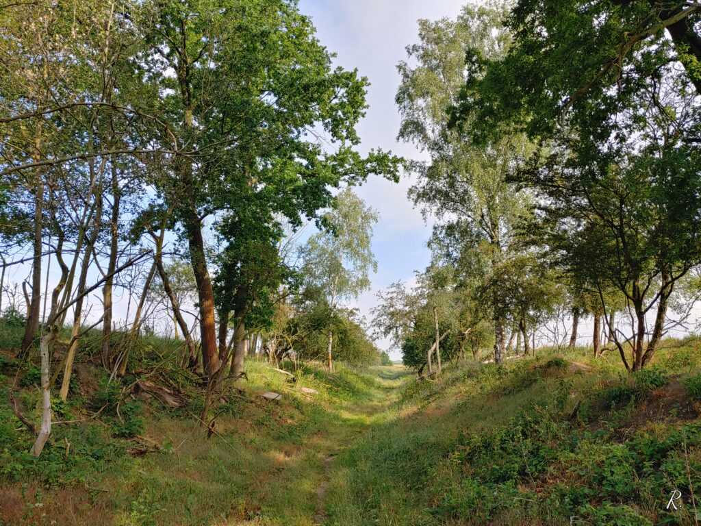 Wanderung durch Brautrummel, zum Riesenstein und Feldbrunnen Dobiener